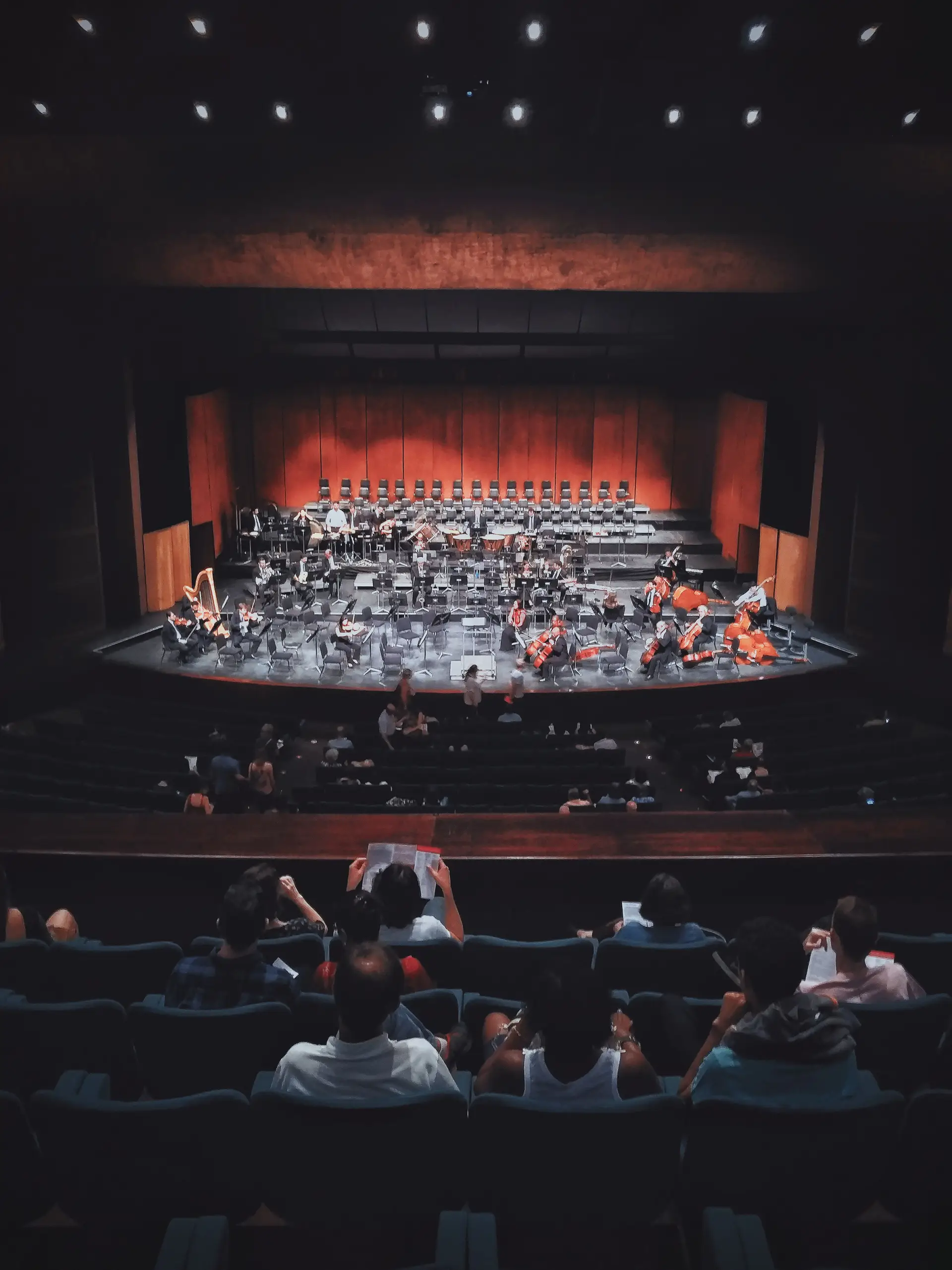 Live Music performance